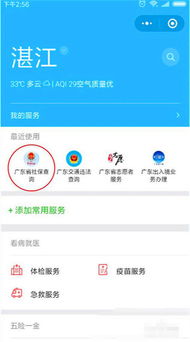 怎么查询惠州社保缴费记录