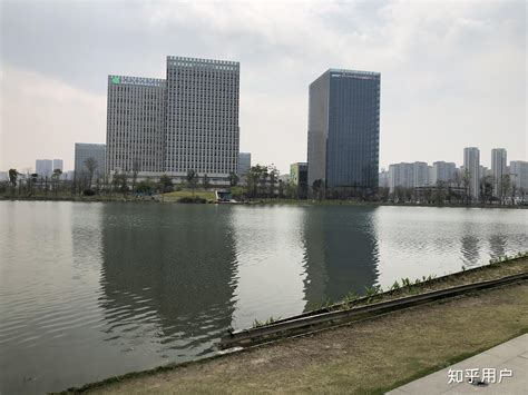 成都新川科技园小学怎么样