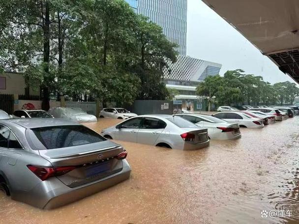 深圳台风网官方下载