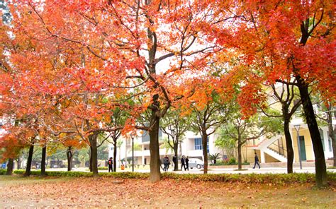 福州大学国家科技园