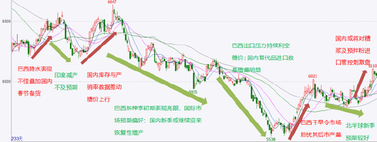 白糖2025年展望：风起摇春水 花飞满空天